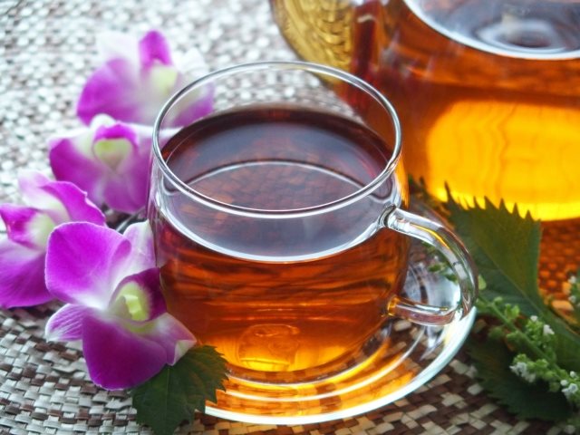 健康茶として知られるハブ茶とは？